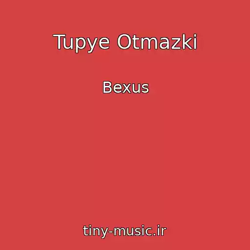 کاور آهنگ Tupye Otmazki از Bexus