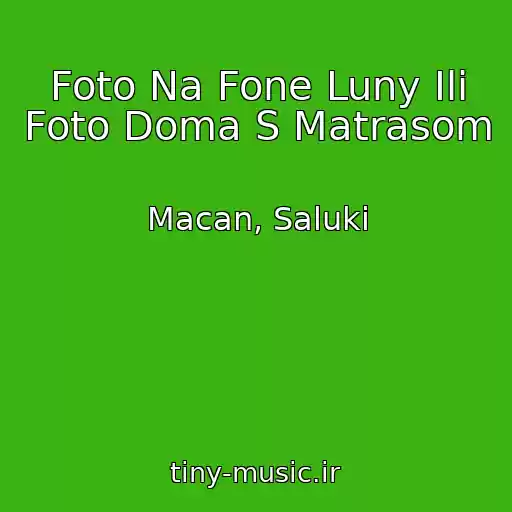 کاور آهنگ Foto Na Fone Luny Ili Foto Doma S Matrasom از Macan, Saluki