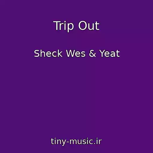 کاور آهنگ Trip Out از Sheck Wes & Yeat