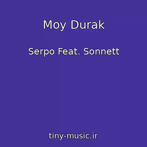 کاور آهنگ Moy Durak از Serpo Feat. Sonnett