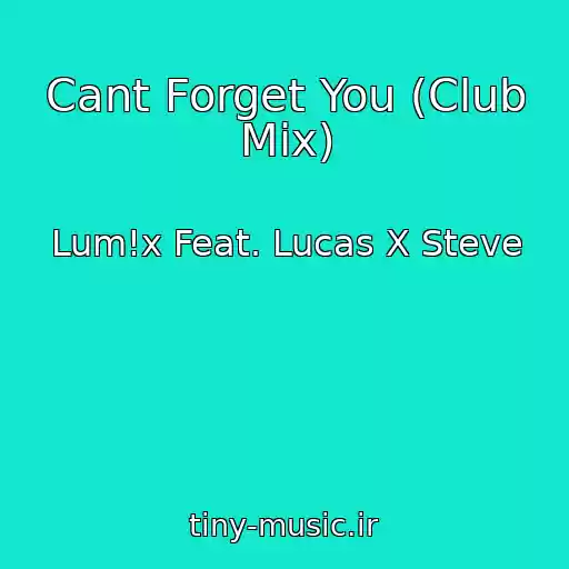 کاور آهنگ Cant Forget You (Club Mix) از Lum!x Feat. Lucas X Steve