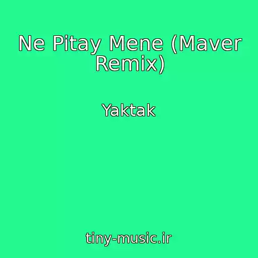 کاور آهنگ Ne Pitay Mene (Maver Remix) از Yaktak