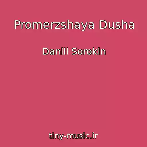 کاور آهنگ Promerzshaya Dusha از Daniil Sorokin