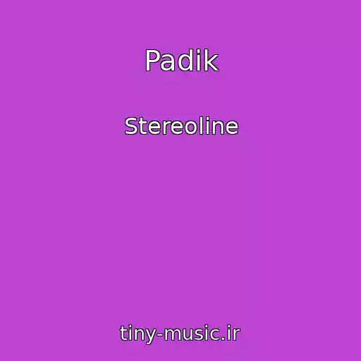 کاور آهنگ Padik از Stereoline