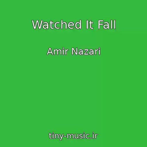 کاور آهنگ Watched It Fall از Amir Nazari