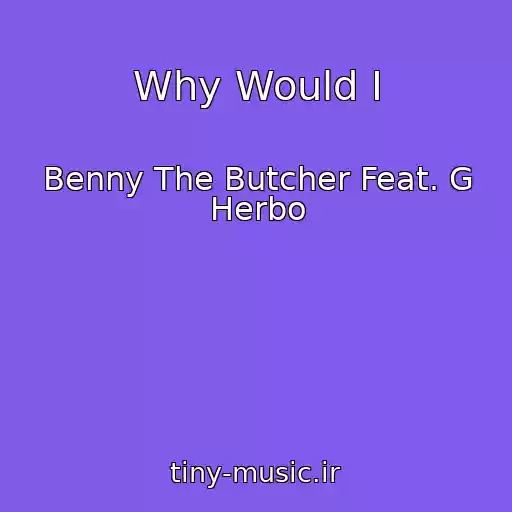 کاور آهنگ Why Would I از Benny The Butcher Feat. G Herbo