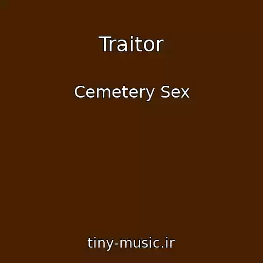 کاور آهنگ Traitor از Cemetery Sex