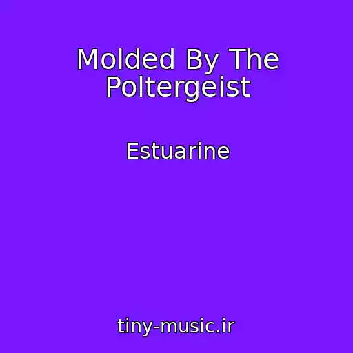 کاور آهنگ Molded By The Poltergeist از Estuarine