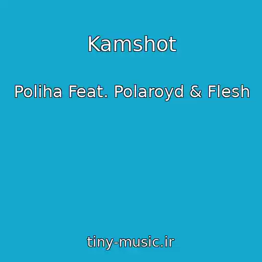 کاور آهنگ Kamshot از Poliha Feat. Polaroyd & Flesh