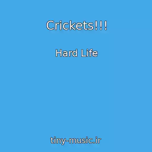 کاور آهنگ Crickets!!! از Hard Life