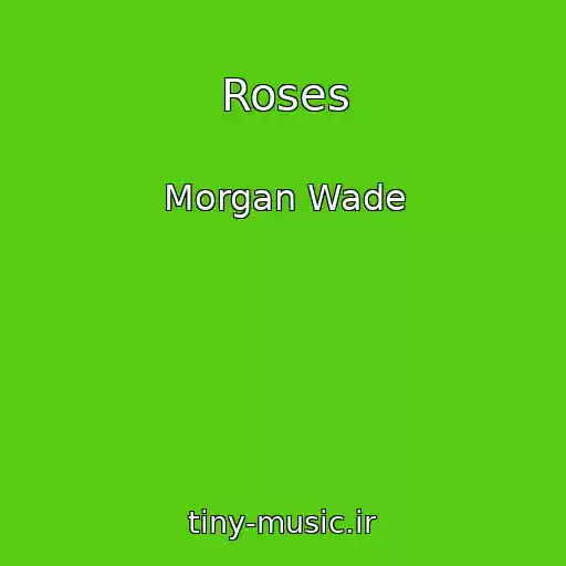 کاور آهنگ Roses از Morgan Wade