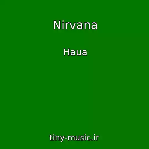 کاور آهنگ Nirvana از Haua