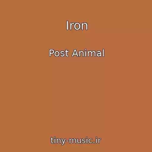 کاور آهنگ Iron از Post Animal