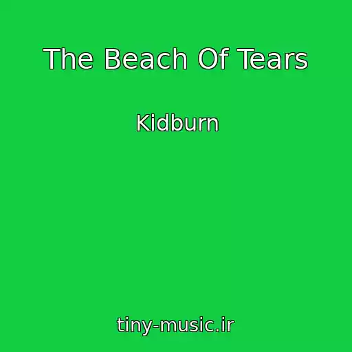 کاور آهنگ The Beach Of Tears از Kidburn