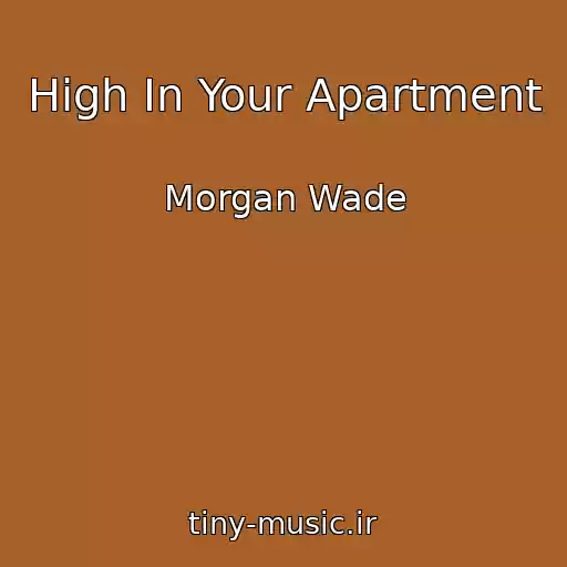 کاور آهنگ High In Your Apartment از Morgan Wade