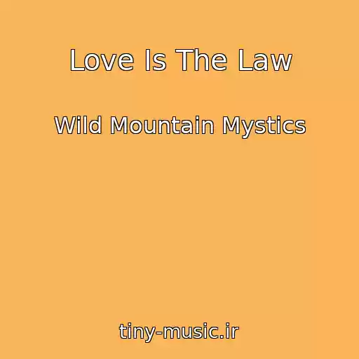 کاور آهنگ Love Is The Law از Wild Mountain Mystics