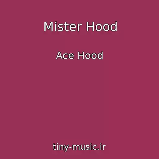 کاور آهنگ Mister Hood از Ace Hood