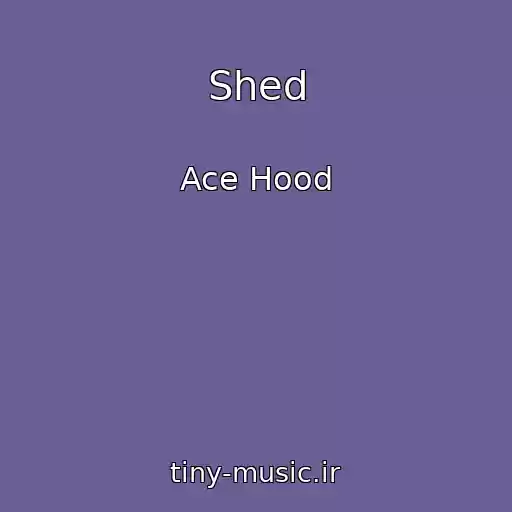 کاور آهنگ Shed از Ace Hood