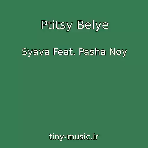 کاور آهنگ Ptitsy Belye از Syava Feat. Pasha Noy