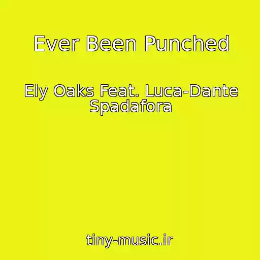 کاور آهنگ Ever Been Punched از Ely Oaks Feat. Luca-Dante Spadafora