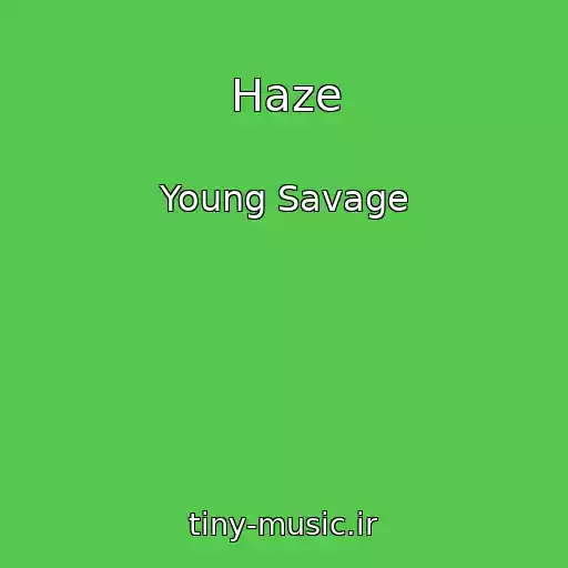 کاور آهنگ Haze از Young Savage