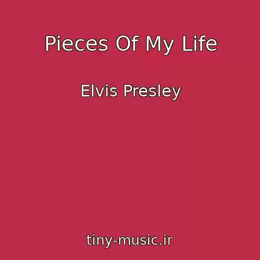 کاور آهنگ Pieces Of My Life از Elvis Presley