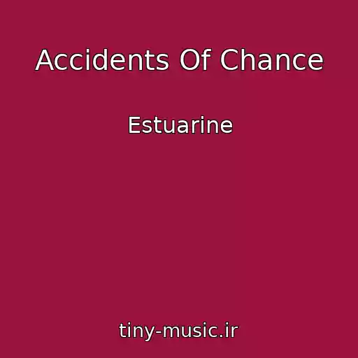 کاور آهنگ Accidents Of Chance از Estuarine