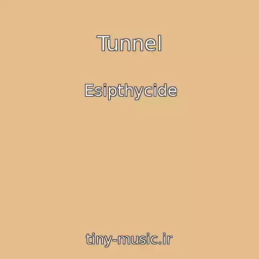 کاور آهنگ Tunnel از Esipthycide