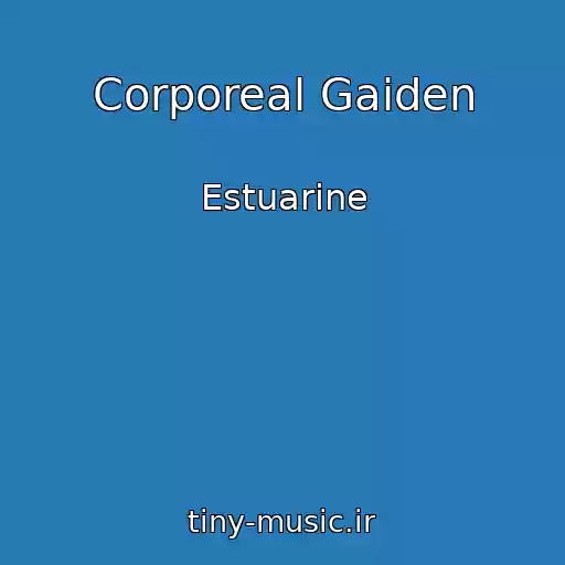کاور آهنگ Corporeal Gaiden از Estuarine