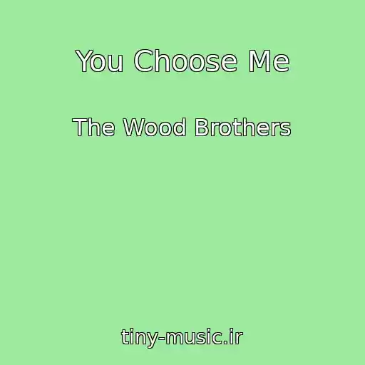 کاور آهنگ You Choose Me از The Wood Brothers
