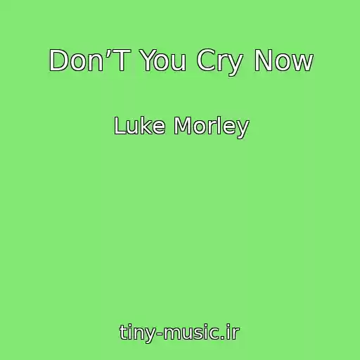 کاور آهنگ Don’T You Cry Now از Luke Morley