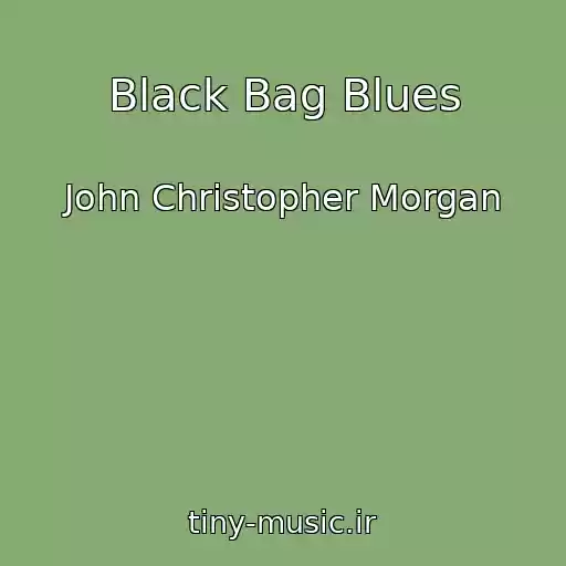 کاور آهنگ Black Bag Blues از John Christopher Morgan