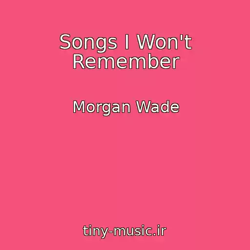 کاور آهنگ Songs I Won't Remember از Morgan Wade