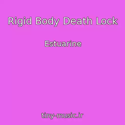 کاور آهنگ Rigid Body Death Lock از Estuarine