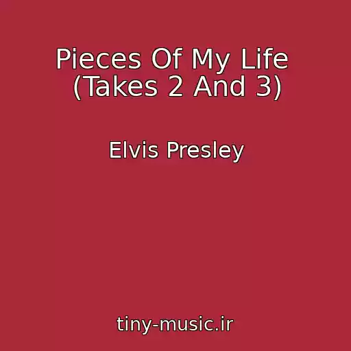 کاور آهنگ Pieces Of My Life  (Takes 2 And 3) از Elvis Presley