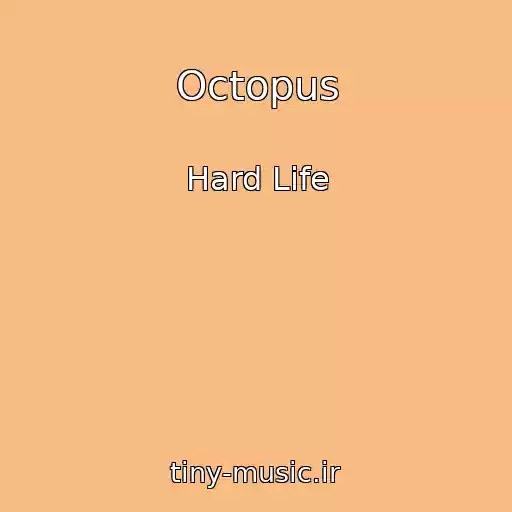 کاور آهنگ Octopus از Hard Life