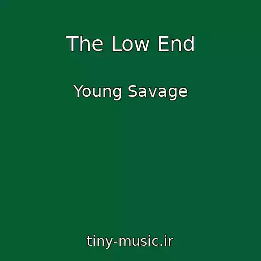 کاور آهنگ The Low End از Young Savage