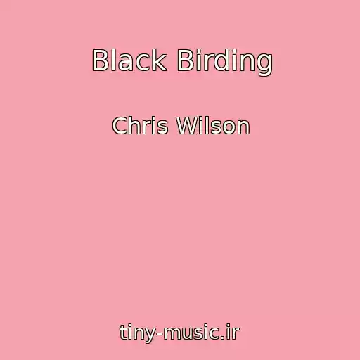 کاور آهنگ Black Birding از Chris Wilson