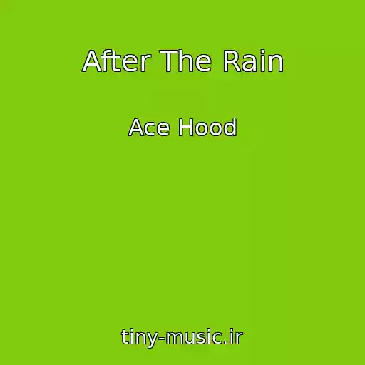 کاور آهنگ After The Rain از Ace Hood