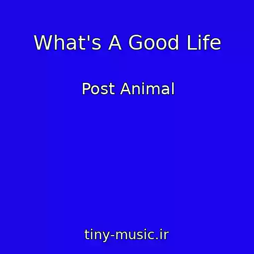 کاور آهنگ What's A Good Life از Post Animal
