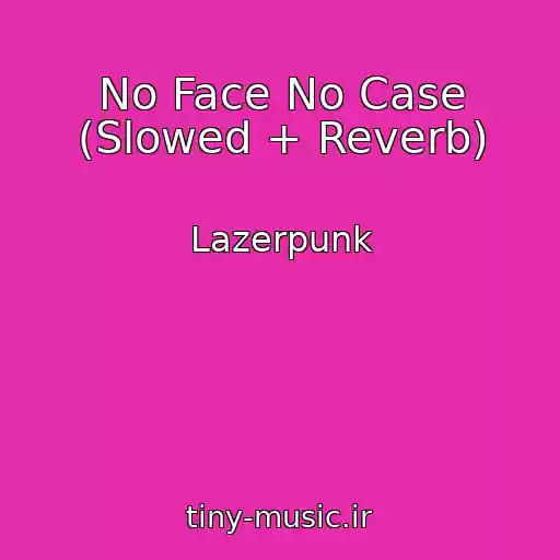 کاور آهنگ No Face No Case (Slowed + Reverb) از Lazerpunk