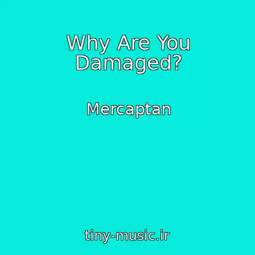 کاور آهنگ Why Are You Damaged? از Mercaptan