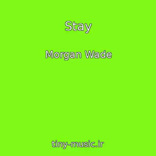 کاور آهنگ Stay از Morgan Wade
