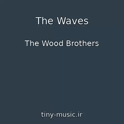کاور آهنگ The Waves از The Wood Brothers