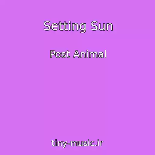 کاور آهنگ Setting Sun از Post Animal