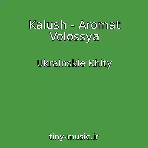 کاور آهنگ Kalush - Aromat Volossya از Ukrainskie Khity