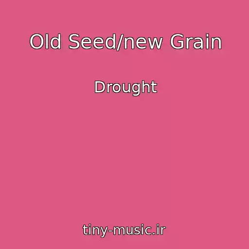 کاور آهنگ Old Seed/new Grain از Drought