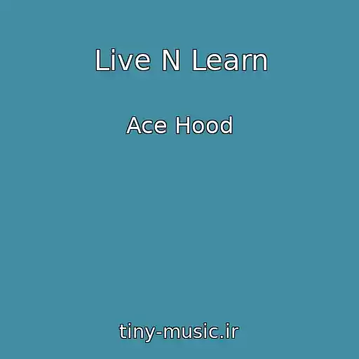 کاور آهنگ Live N Learn از Ace Hood