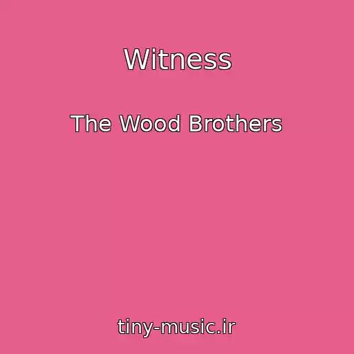 کاور آهنگ Witness از The Wood Brothers