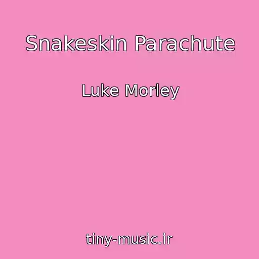 کاور آهنگ Snakeskin Parachute از Luke Morley
